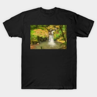 Bunyip Falls at Lamington T-Shirt
